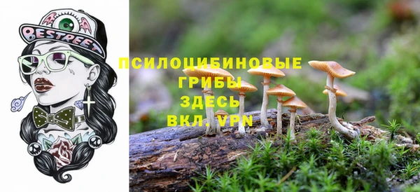 мефедрон Богородицк