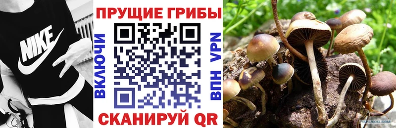 Псилоцибиновые грибы Magic Shrooms  Плёс 